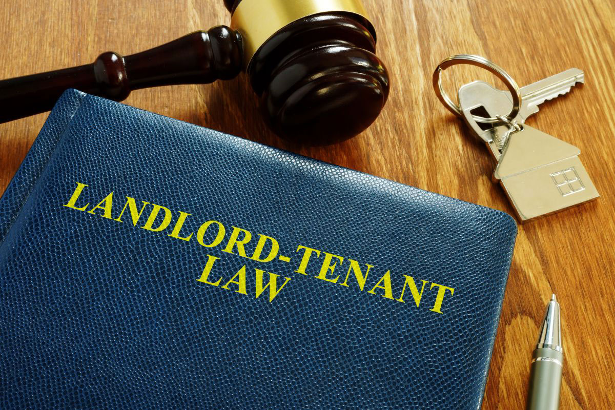 Renters (Reform) Bill is finally here! CP Law